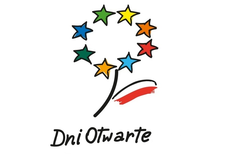 Znak graficzny, symbol kwiatu z wielokolorowymi gwiazdkami zamiast płatków i liściem w barwach narodowych Polski.